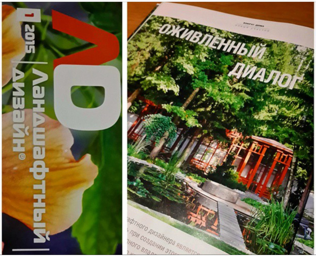 Глянцевый лес