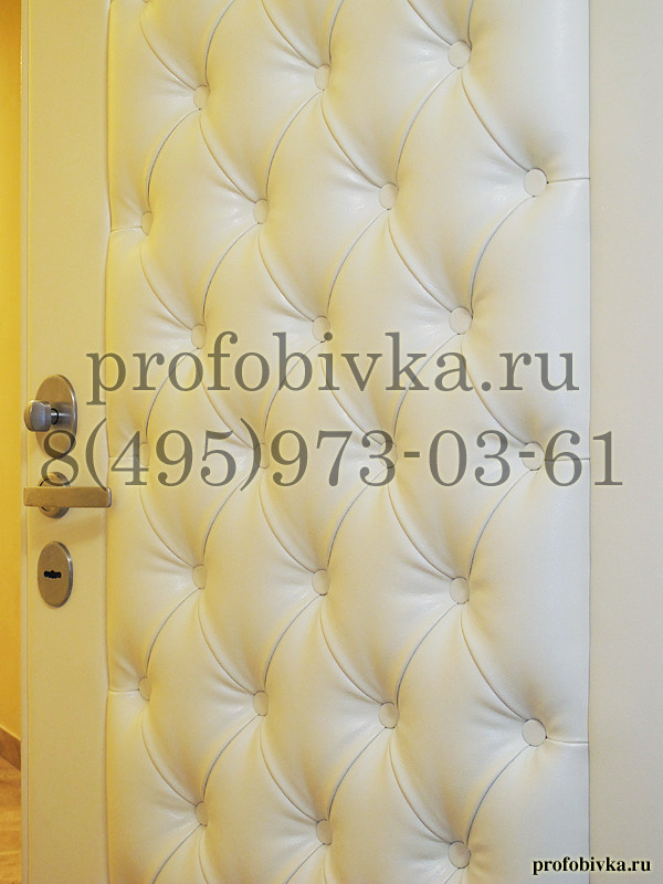 Входная металлическая дверь Стал в каретной стяжке