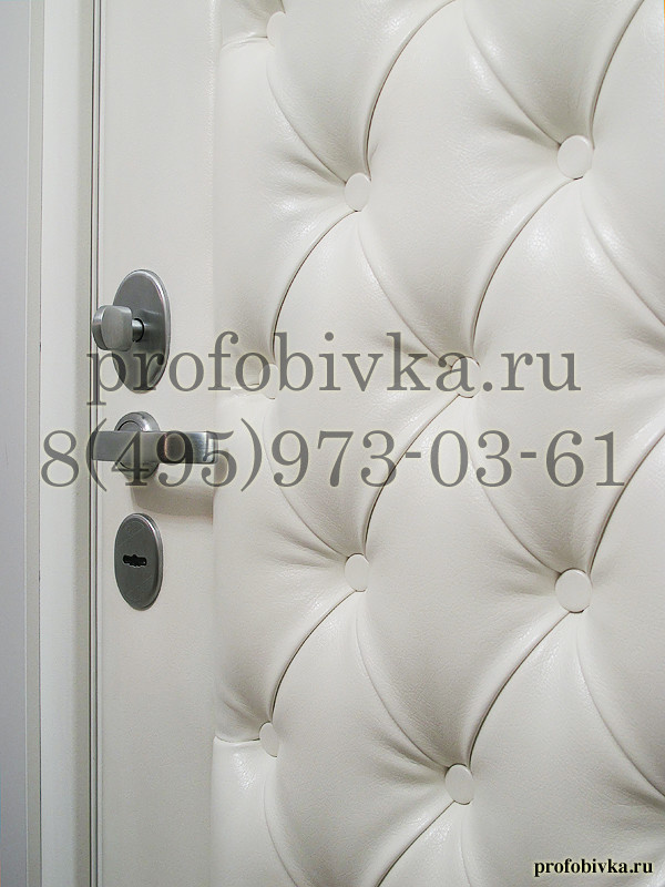 Входная металлическая дверь Стал в каретной стяжке