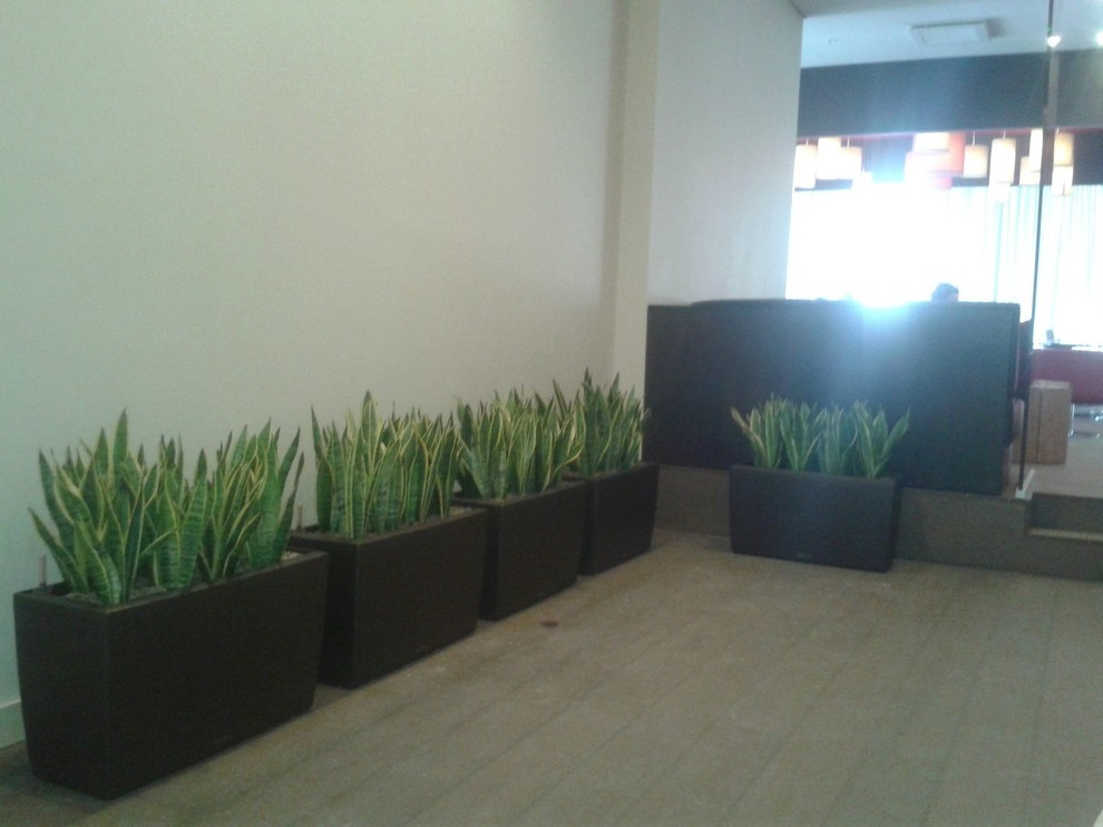 Отель Mercure г.Тмень