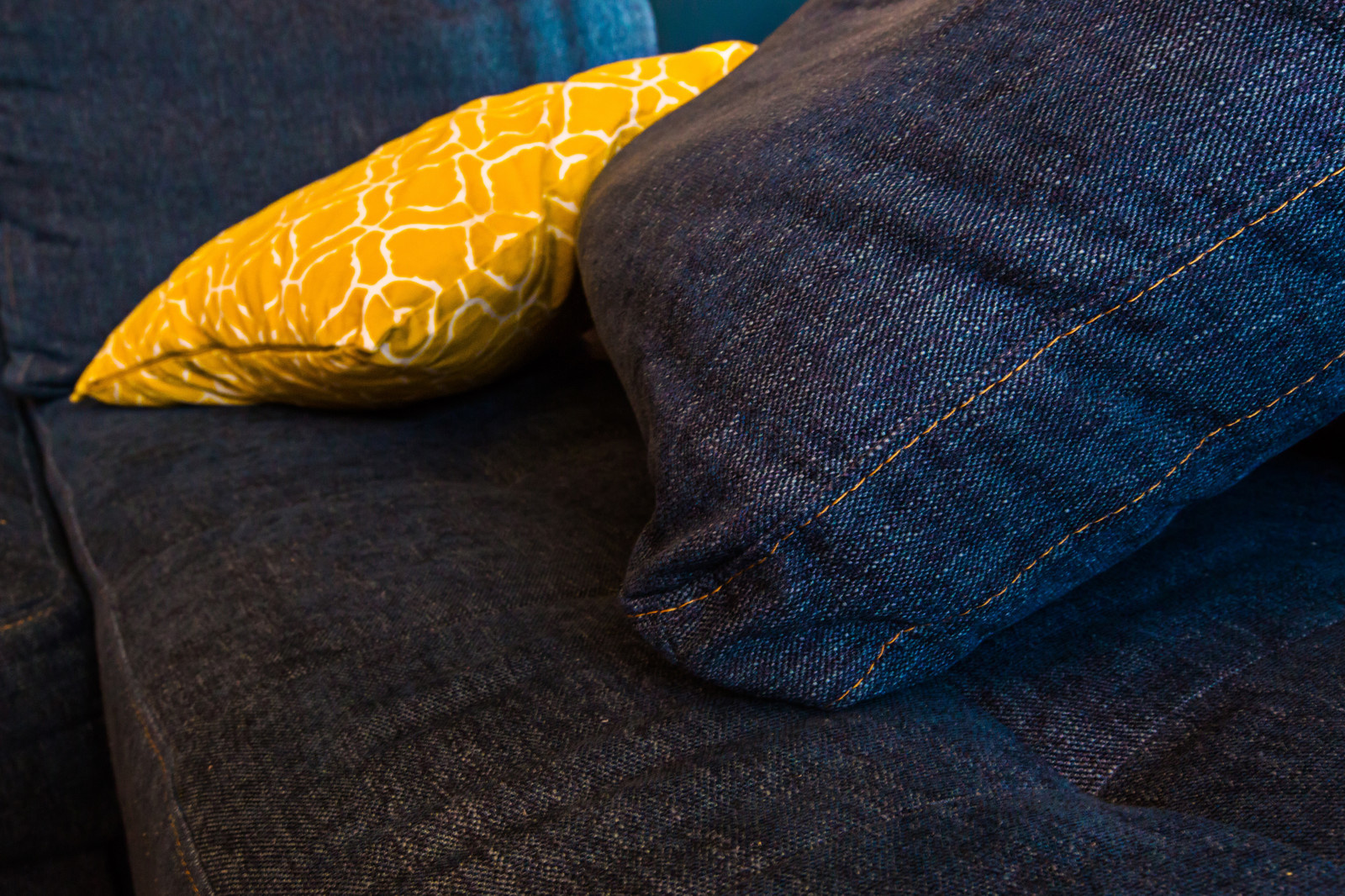 Солнечное настроение в Сестрорецке