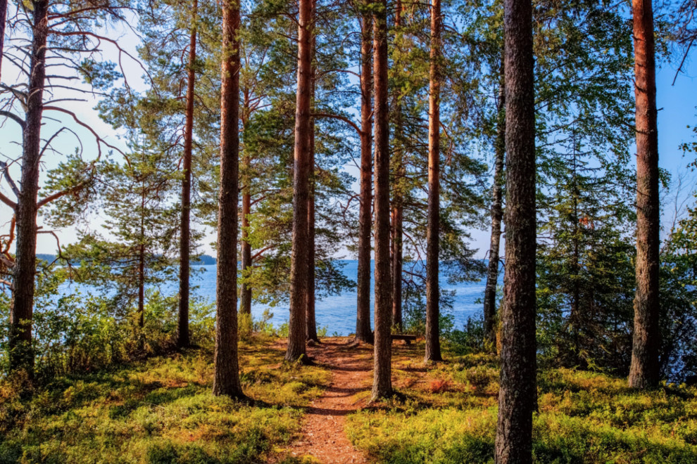 Волшебное озеро