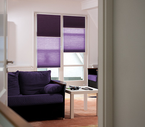 Обложка проекта: Оформление окон с помощью жалюзи-плиссе