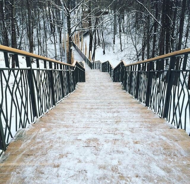 Горкинско-Аметьевский лес