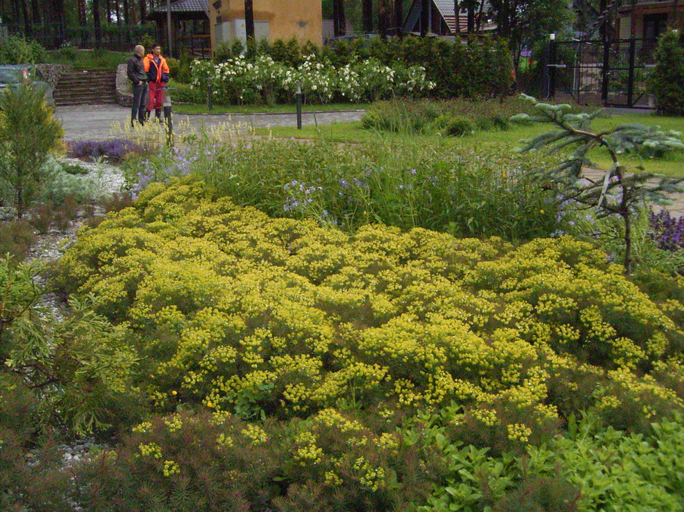 Частный участок в Лемболово