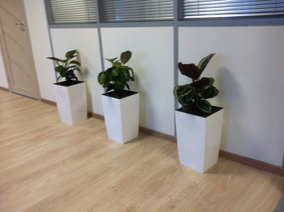 В ожидании весны