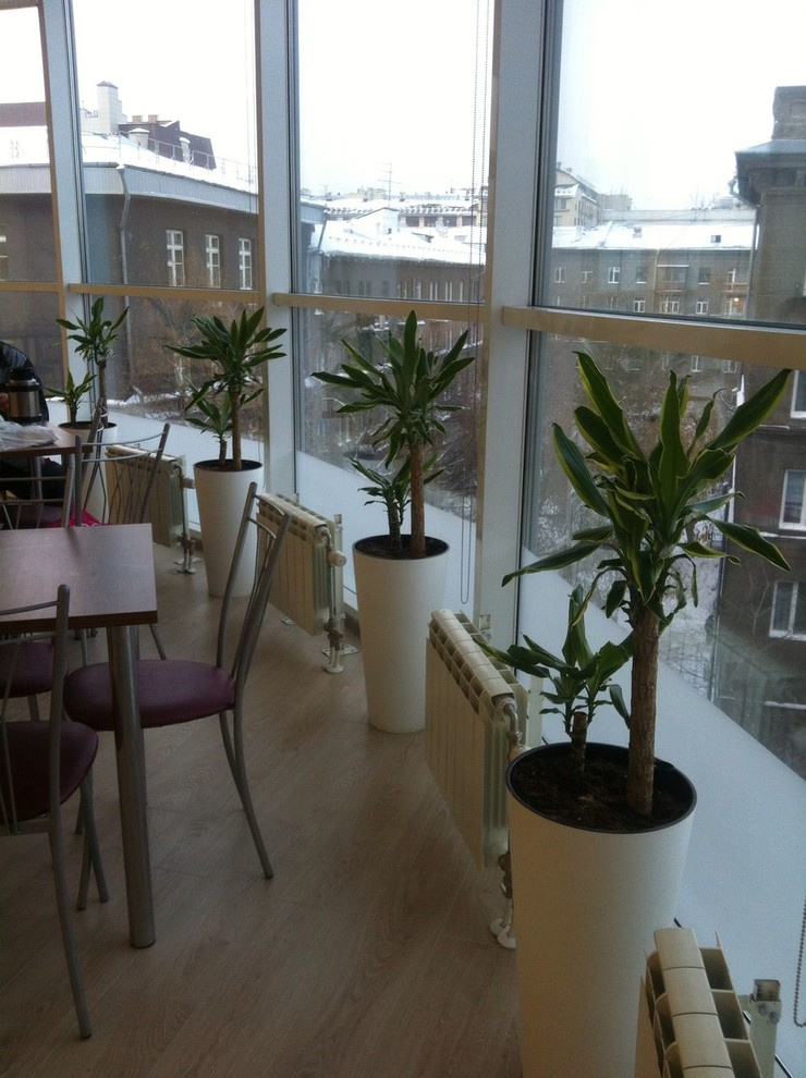 В ожидании весны