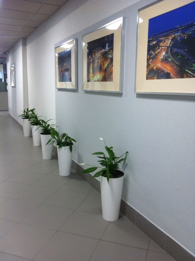 Обложка проекта: В ожидании весны