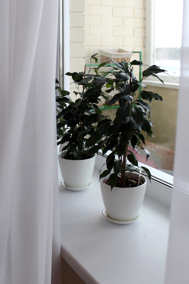 Однокомнатная квартира в Гринпарке.