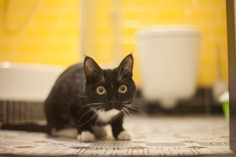 улица 8 Марта