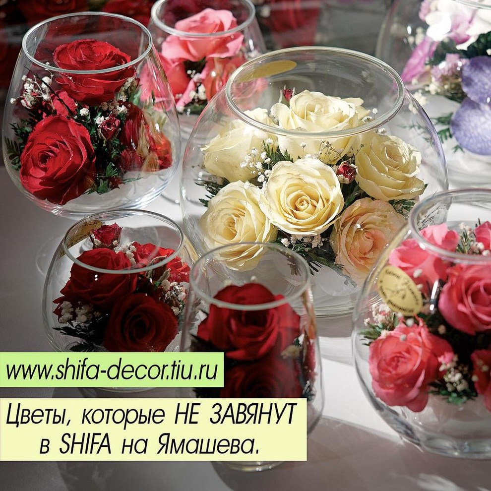 Предложение для Частного лица