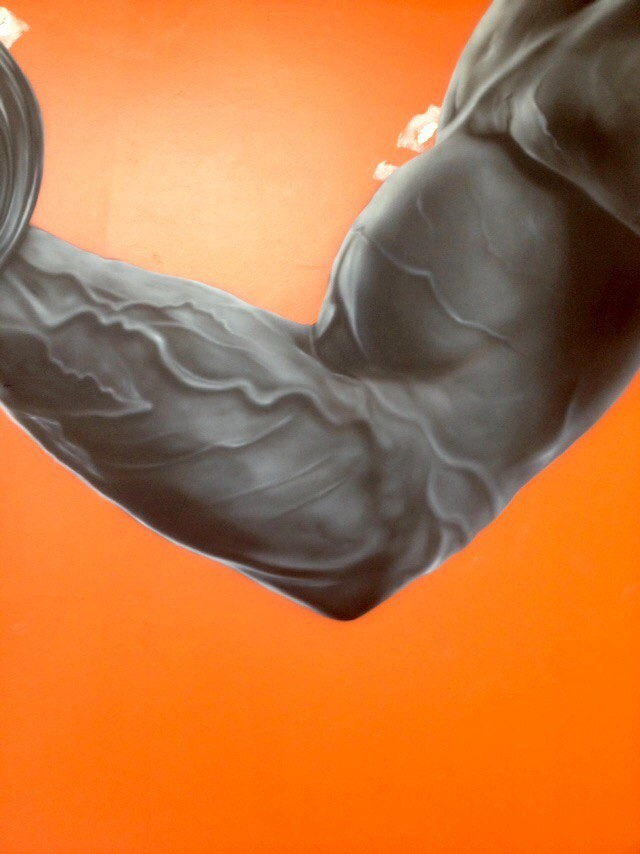 Обложка проекта: Роспись фитнес клуба "Аурум"