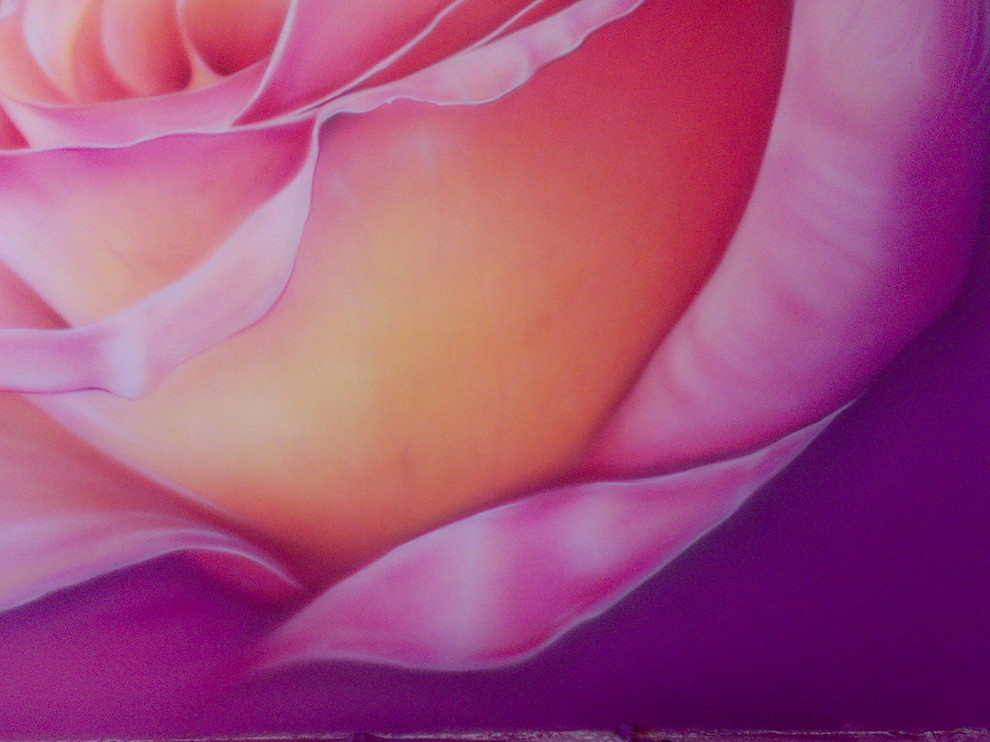 Роспись стен в доме.