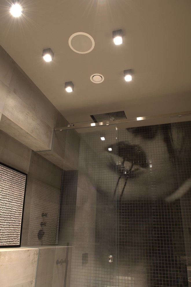 Мультирум в лофте