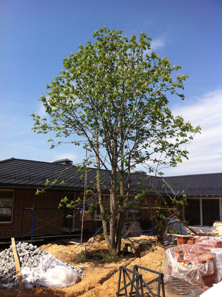 Променад. Киевское шоссе.