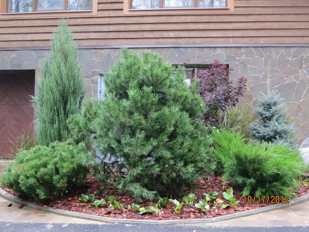 Успенское шоссе РИИТА