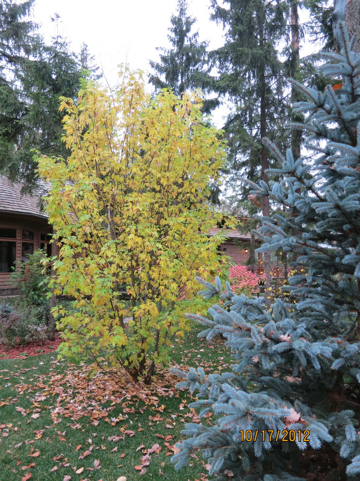 Успенское шоссе РИИТА