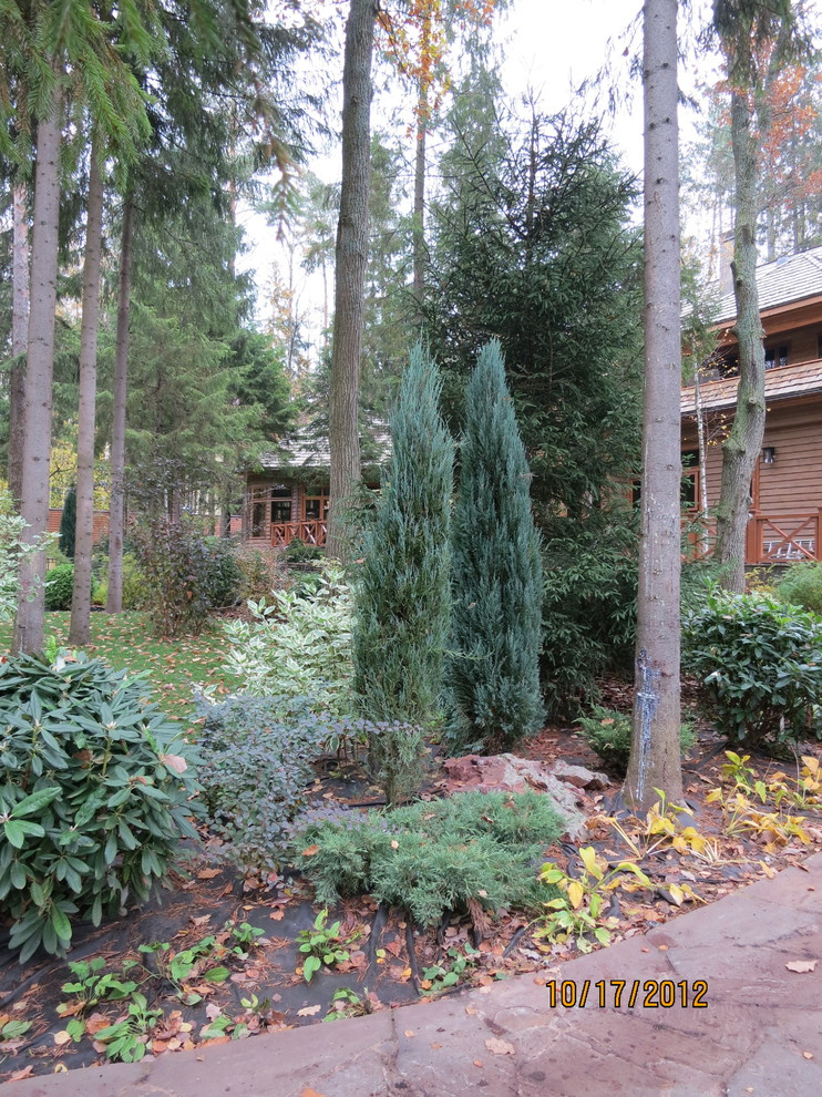 Успенское шоссе РИИТА