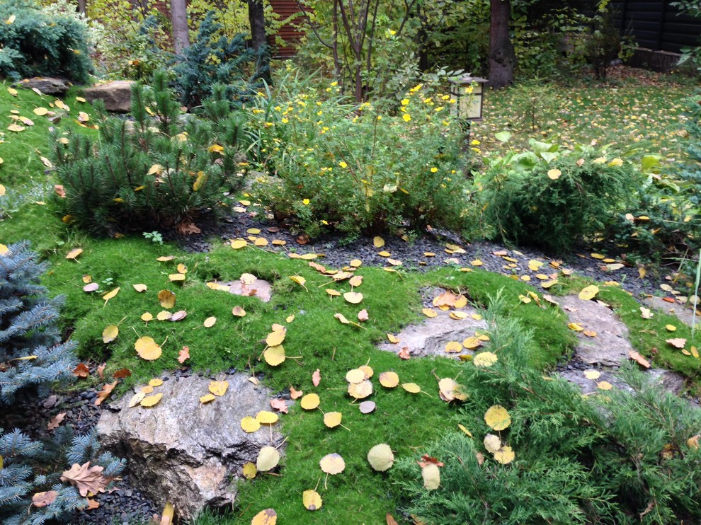 Успенское шоссе РИИТА