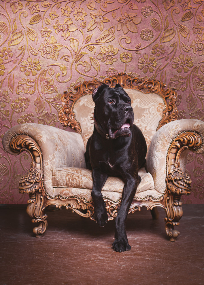 Фрески, пано, фотообои в интерьере!