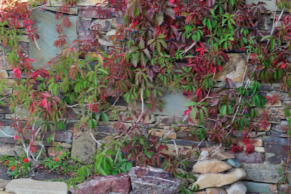 Ландшафтный проект