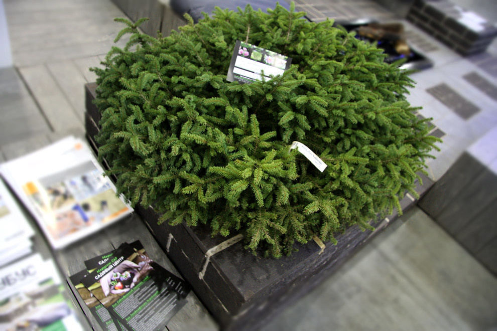 Кубус - сад-конструктор