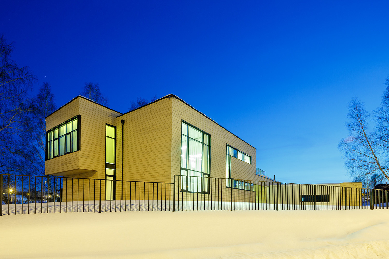 Главный фасад. Вид с подъездной аллеи