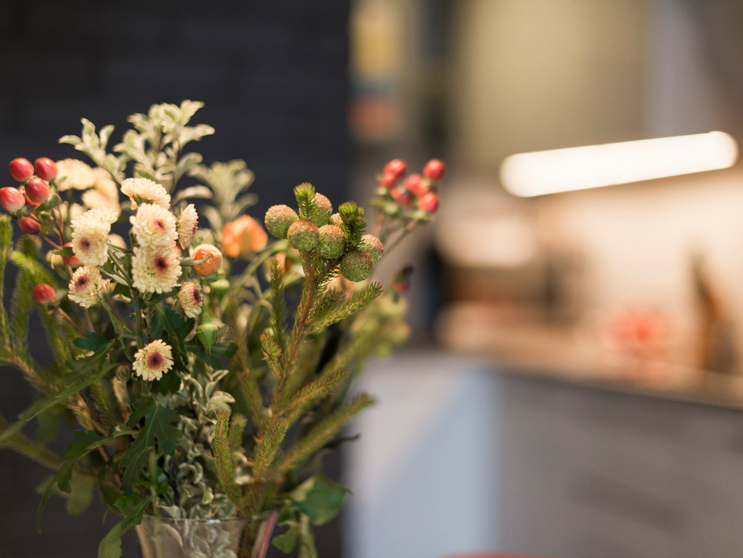 В гостях: уютная квартира на Путилковском шоссе с котом Тишкой