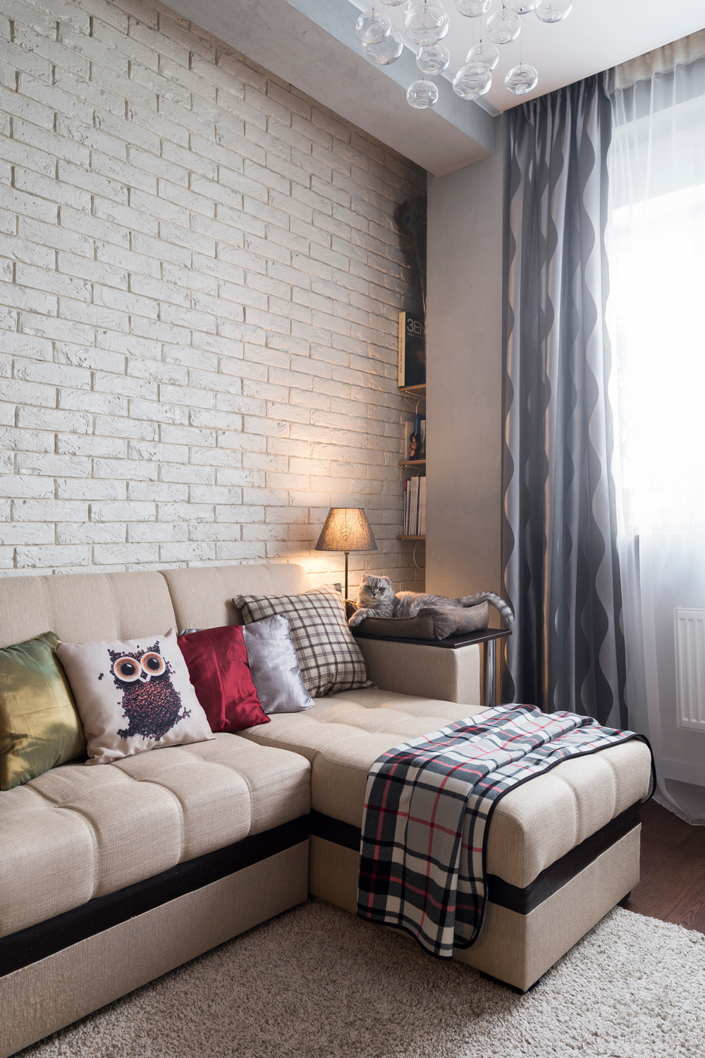 В гостях: уютная квартира на Путилковском шоссе с котом Тишкой