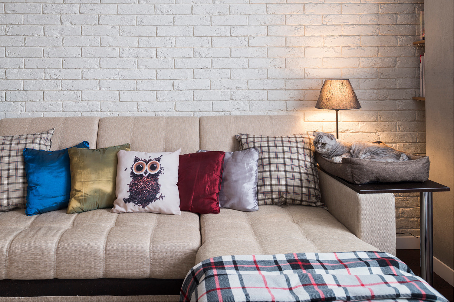 В гостях: уютная квартира на Путилковском шоссе с котом Тишкой