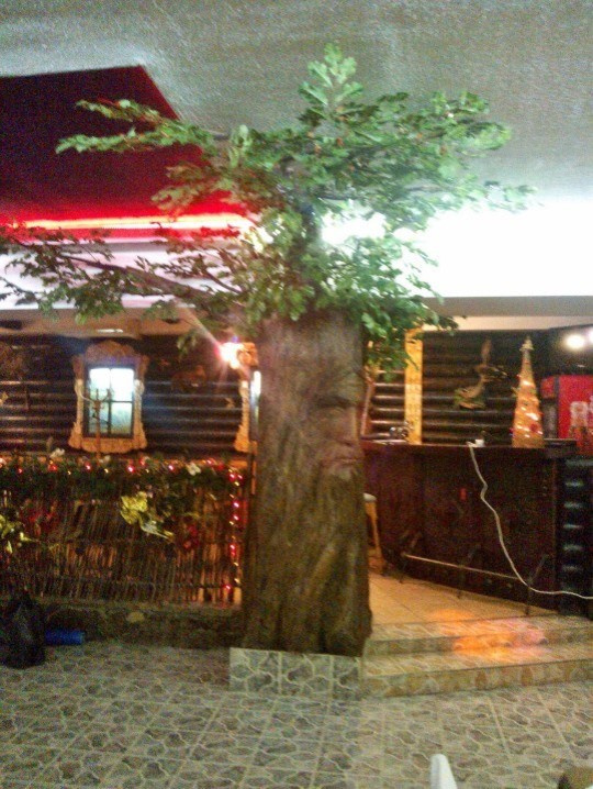 Обложка проекта: кафе "Сибирь"