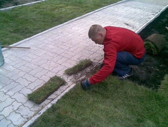 Летнее кафе