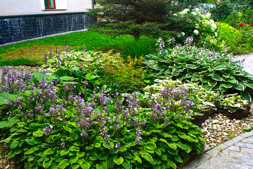 Ландшафтный дизайн участка с цветником в тени.