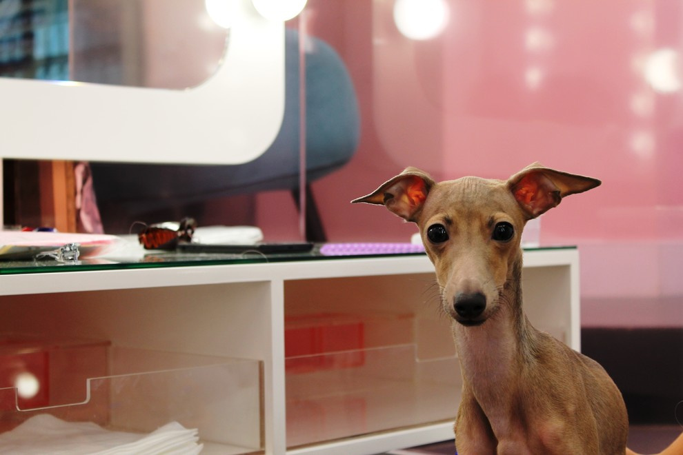 Салон красоты