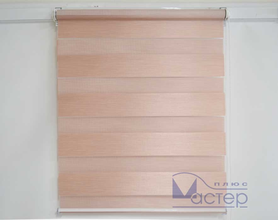 Рулонные шторы День-Ночь Зебра