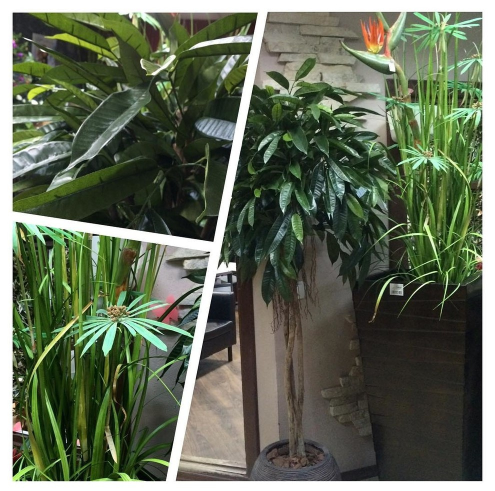 Искусственные растения Премиум класса