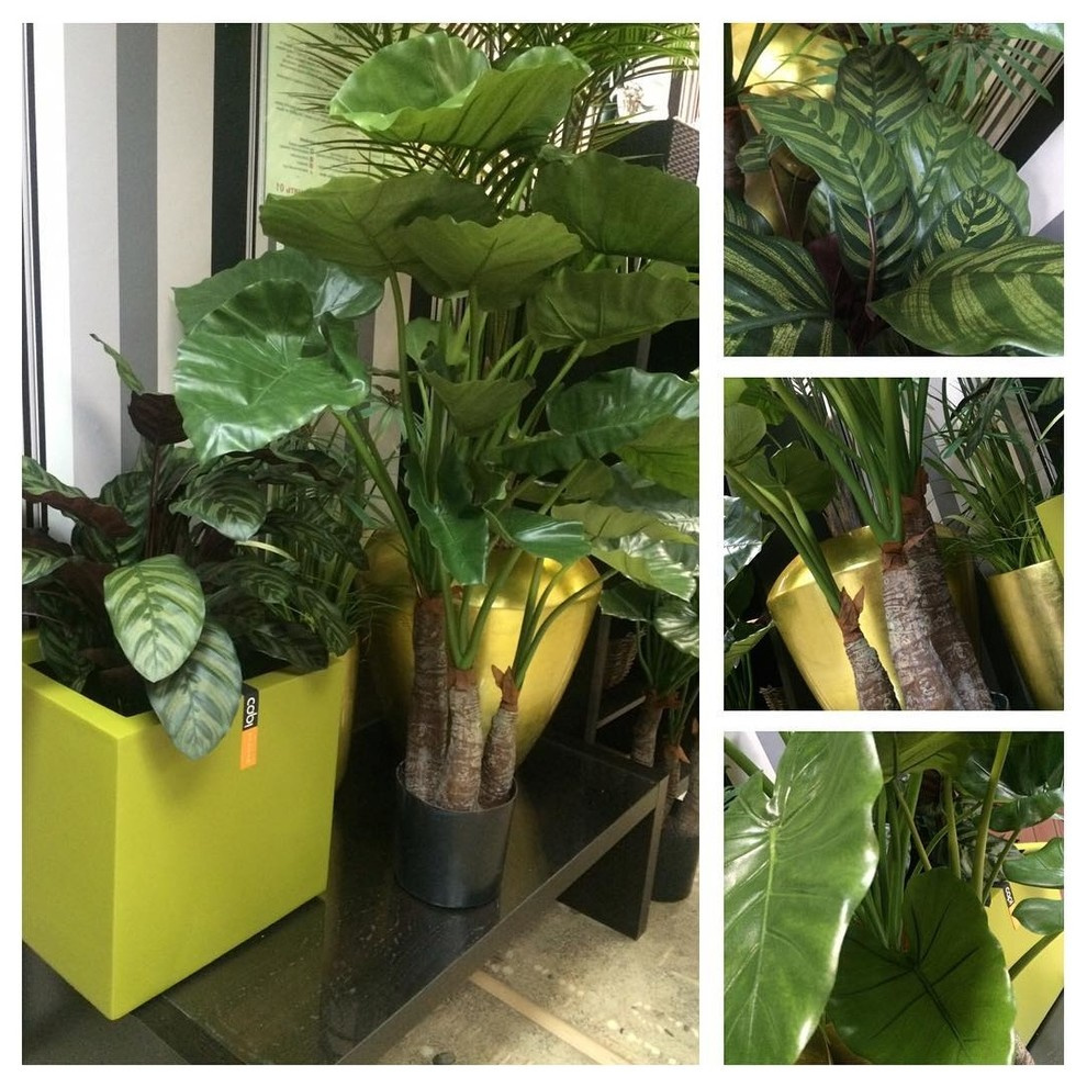 Искусственные растения Премиум класса