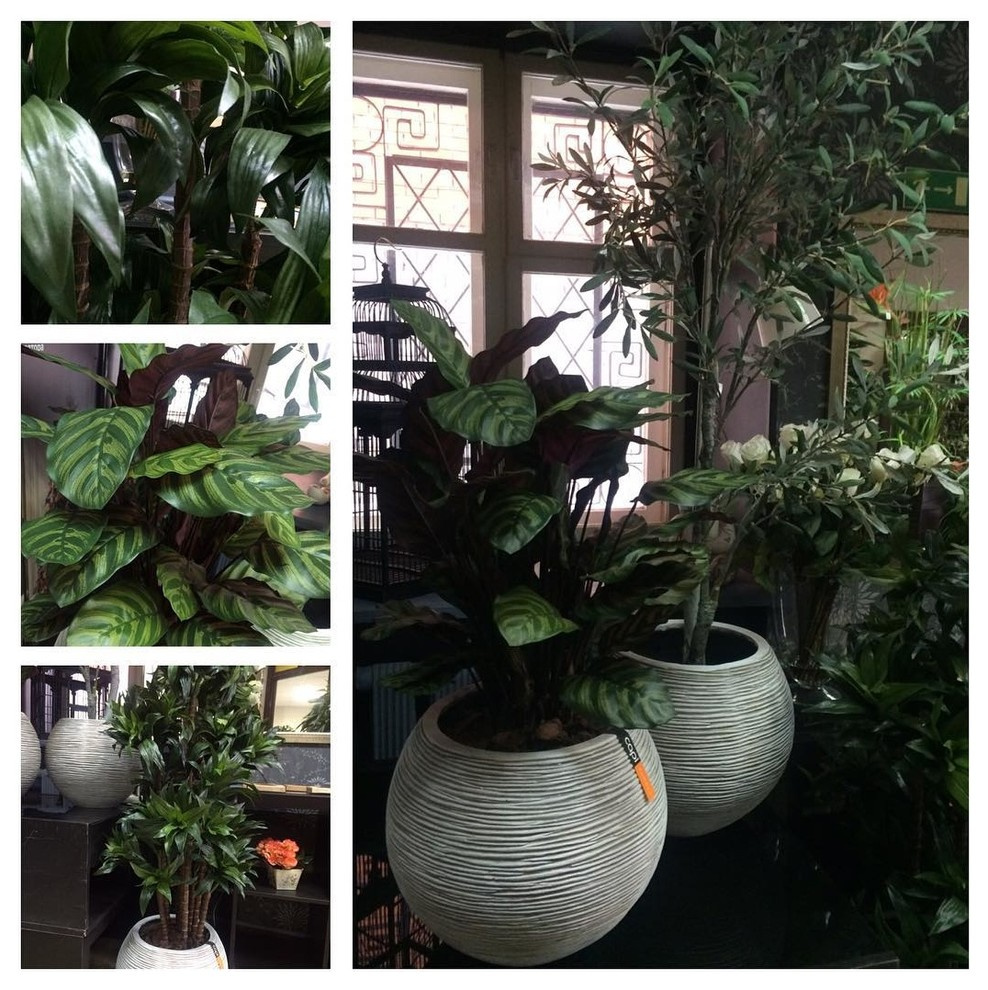 Искусственные растения Премиум класса