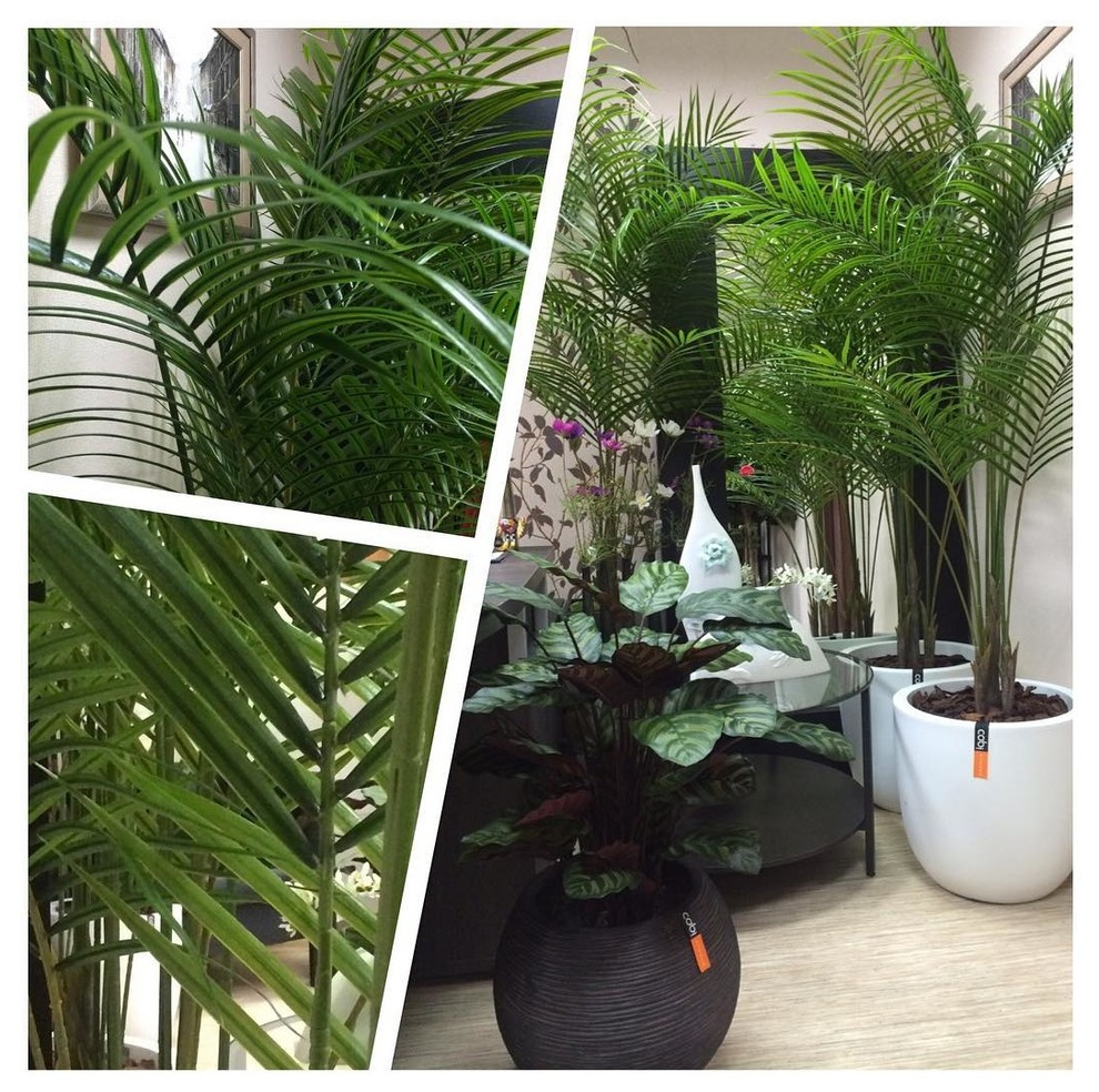 Искусственные растения Премиум класса