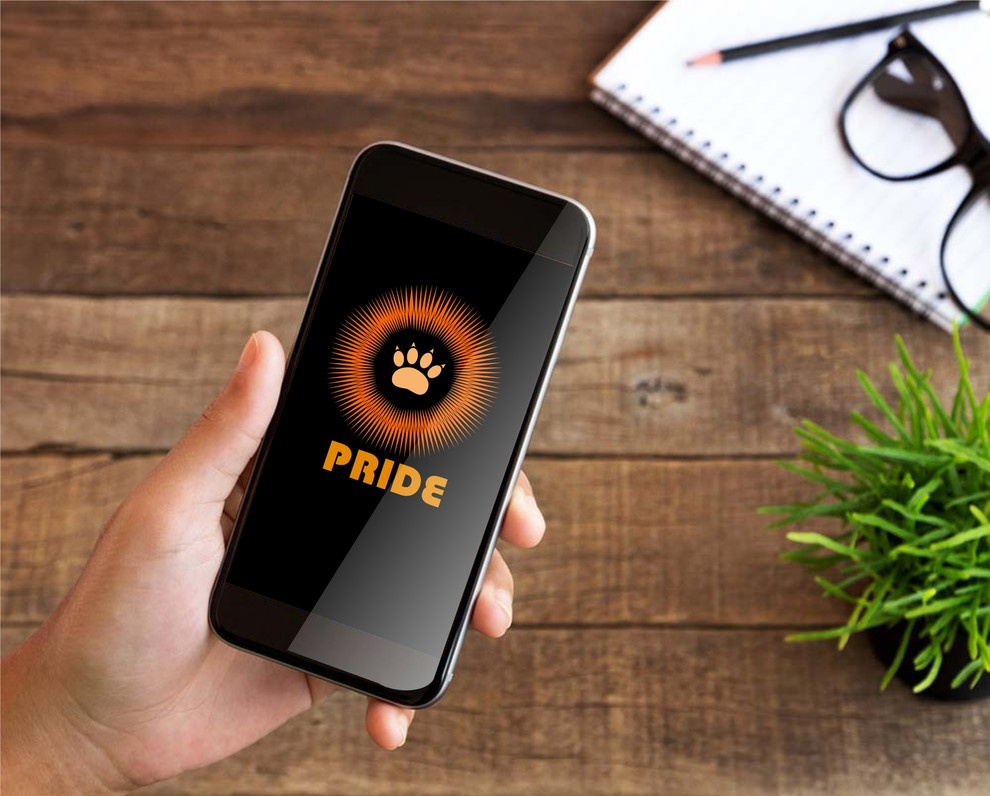 Компграфика- логотипы,фирстиль,баннеры,иконки,лендинг,,айдентика и пр.