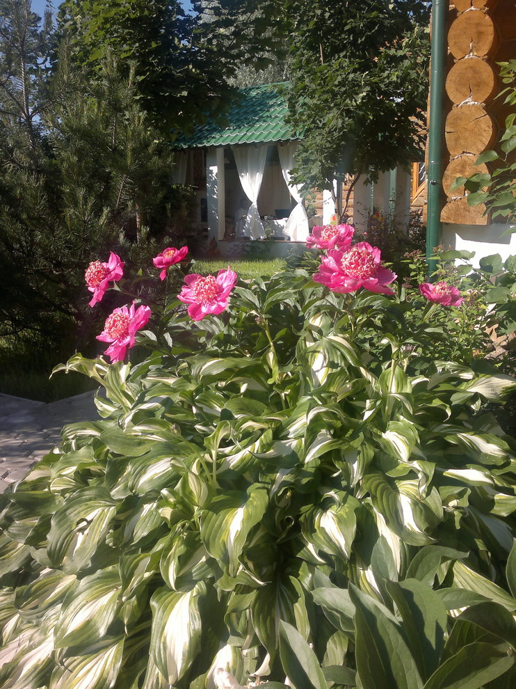 Экология жизни