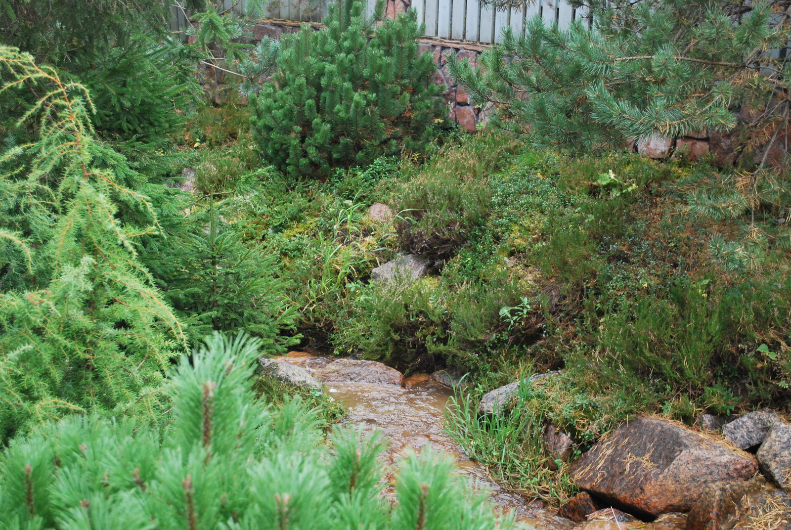 Сады по моим проектам.