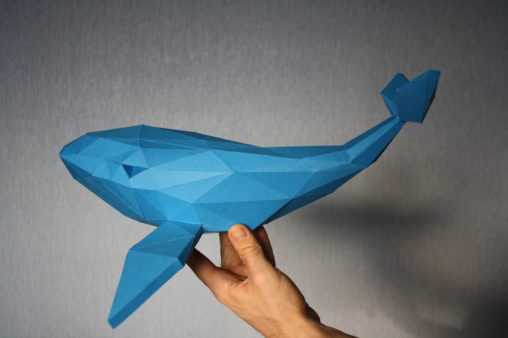 Киты для квеструма "квадрат" г. Волгоград