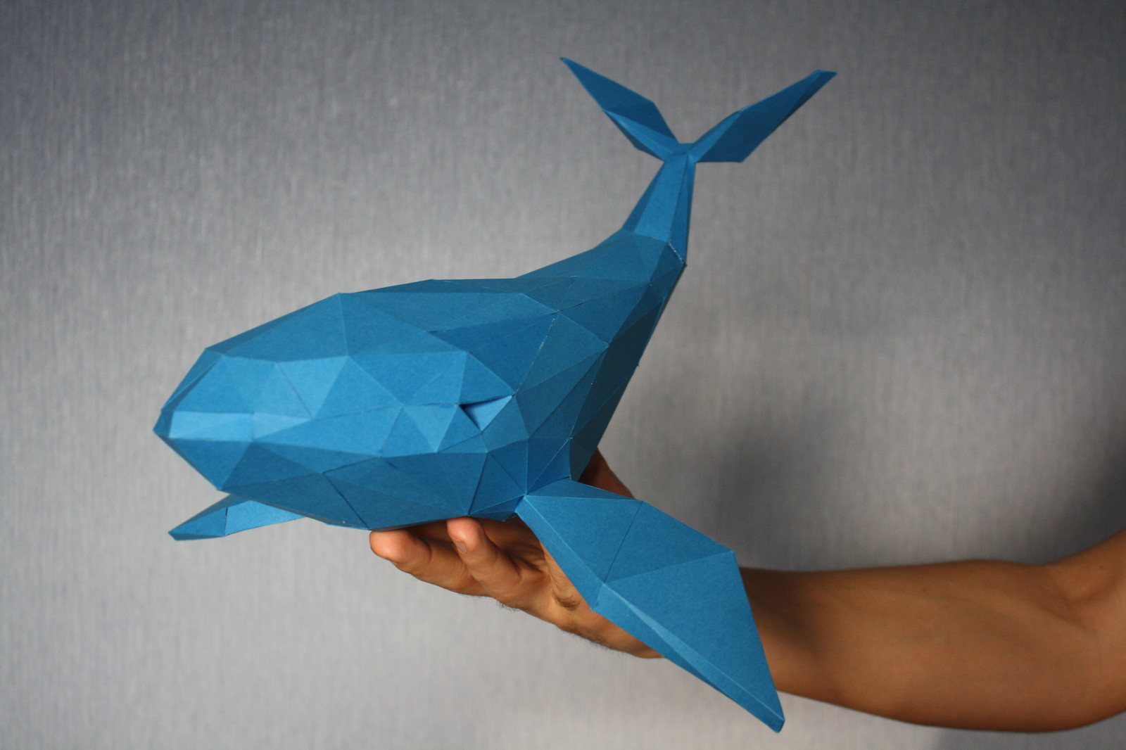 Киты для квеструма "квадрат" г. Волгоград