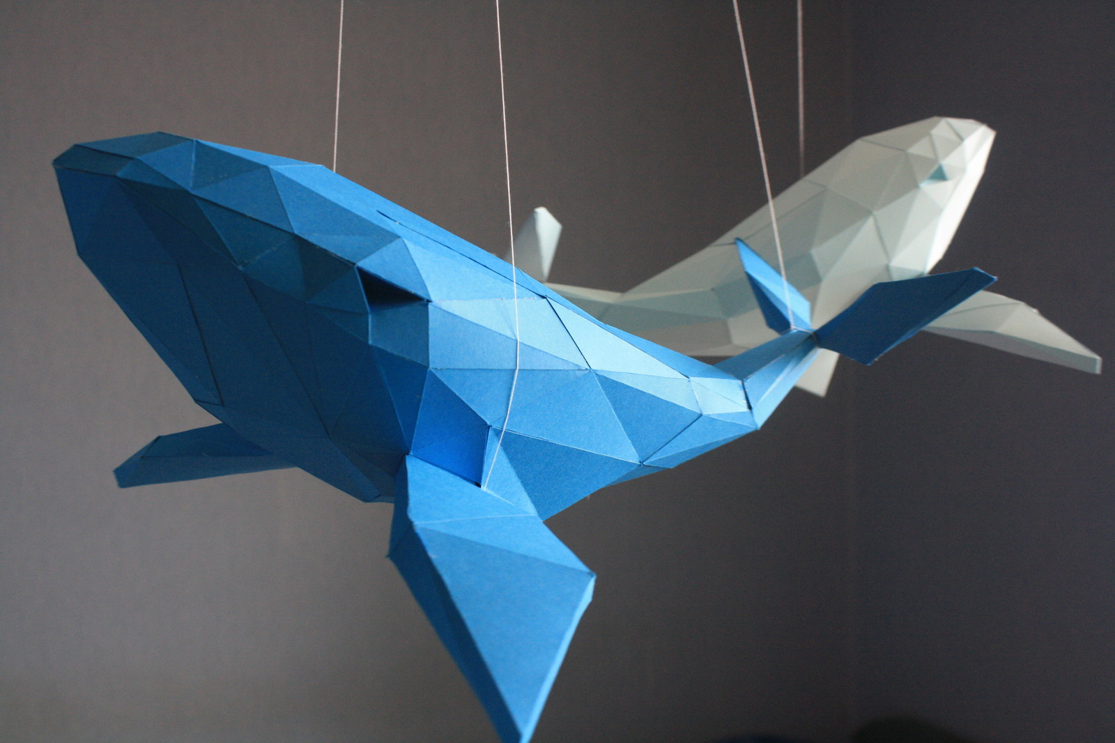 Обложка проекта: Киты для квеструма "квадрат" г. Волгоград