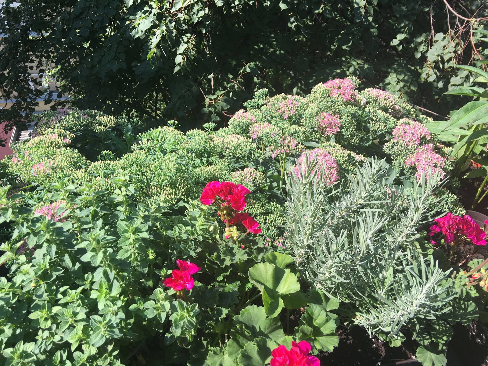 Балкон Уланский