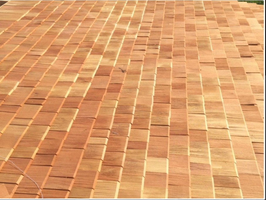 Баня из лафета кедра