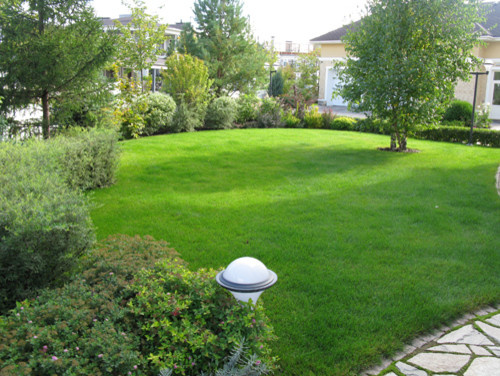 Сад окружностей