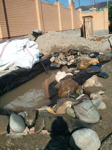 Пруды/водоёмы