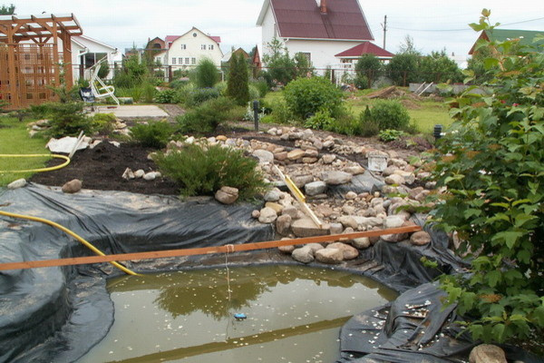 Пруды/водоёмы